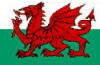 Welsh Flag